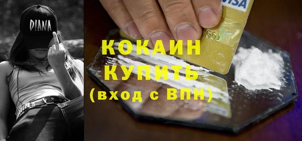 стаф Алзамай