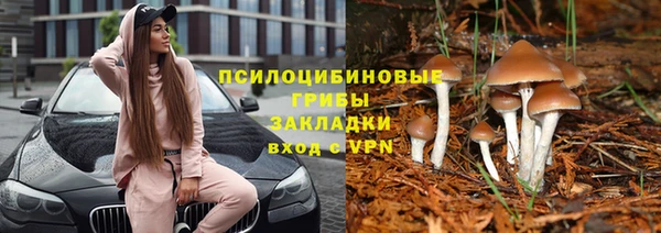 таблы Алексеевка