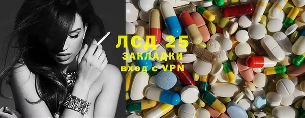 стаф Алзамай
