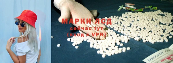 стаф Алзамай