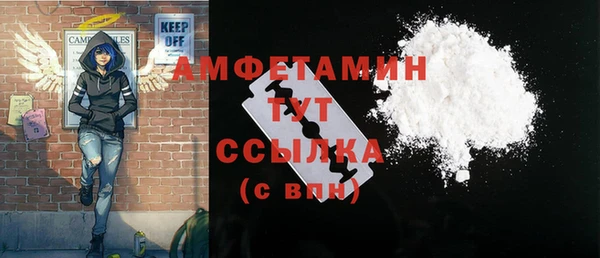 стаф Алзамай