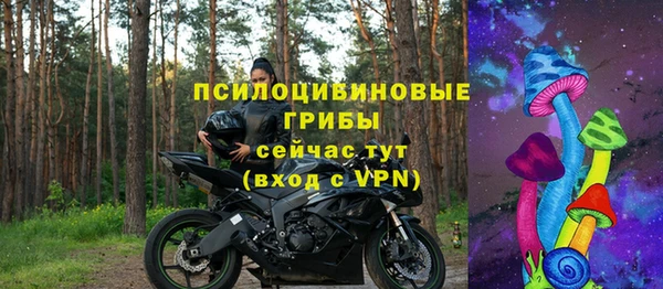 стаф Алзамай