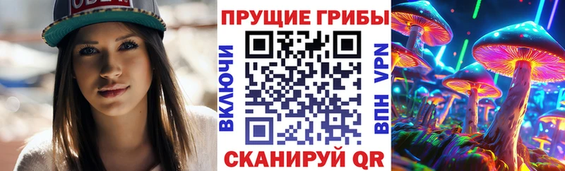 Псилоцибиновые грибы MAGIC MUSHROOMS  Катав-Ивановск 